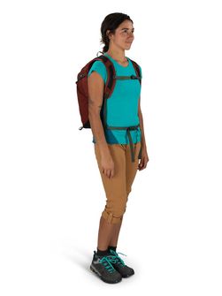 OSPREY hiking backpack SPORTLITE 20,  acorn/bonsai