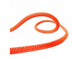 BEAL climbing rope Pro Canyon 10,3 mm 100 m