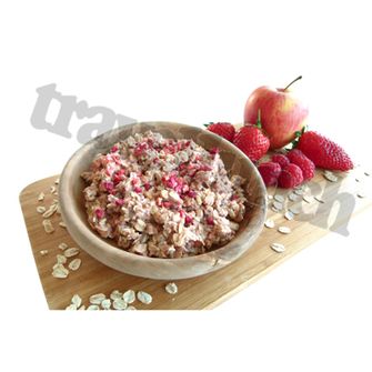 Travellunch fruit muesli, 10 pcs 125 g