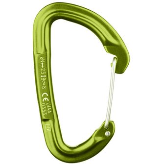 Salewa Carabiner Hot G3 green