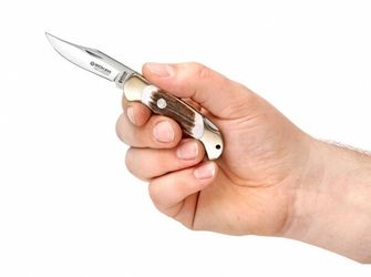 Böker Manufaktur Solingen Boy Scout Stag pocket knife 5.7 cm, antler