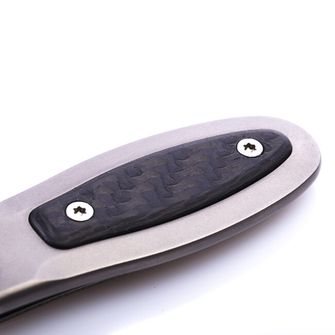 Lionsteel Elegant buckle for banknotes with body from Titan PB FC