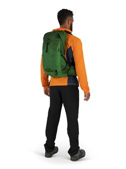 OSPREY hiking backpack TALON 22,  green belt/black