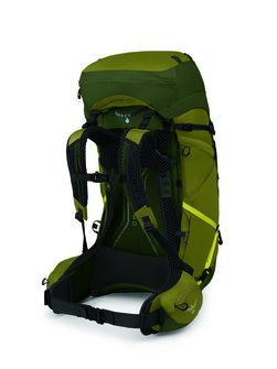 OSPREY hiking backpack ATMOS AG LT 65,  scenic valley/green peppercorn