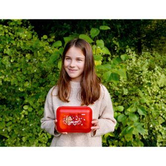 SIGG Children&#039;s lunch box with horse pattern