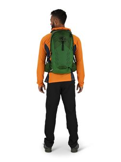 OSPREY hiking backpack TALON 22,  green belt/black