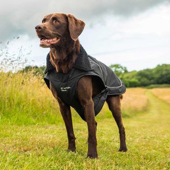 Mountain Paws cape for dog medium