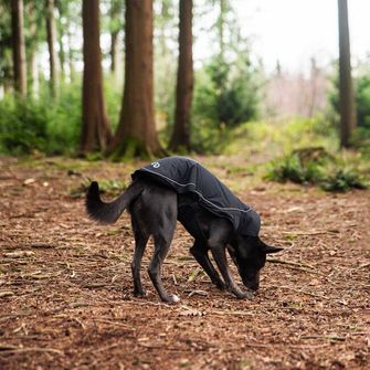 Mountain Paws cape for dog medium