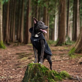 Mountain Paws cape for dog medium