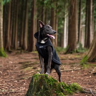 Mountain Paws Dog cape large