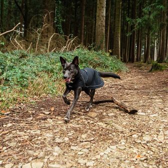 Mountain Paws Dog cape large