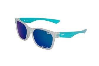 3F Vision Sports Polarized Sunglasses Defence 1736