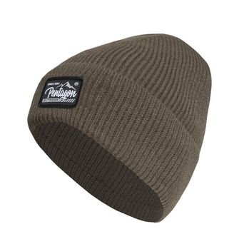 Pentagon Polaris watch hat, RAL7013